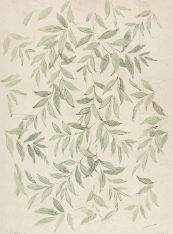 MoDA - Museum of Domestic Design & Architecture Gallery: Design for Wallpaper with grey leaves