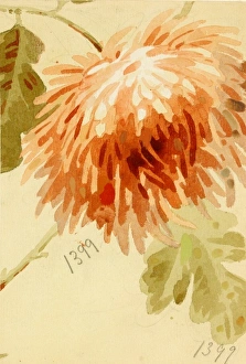 Images Dated 5th November 2013: Design for wallpaper with orange flower