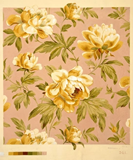 Images Dated 29th October 2013: Design for Wallpaper with yellow flowers