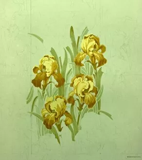 Images Dated 11th November 2013: Design for Wallpaper with yellow lilies
