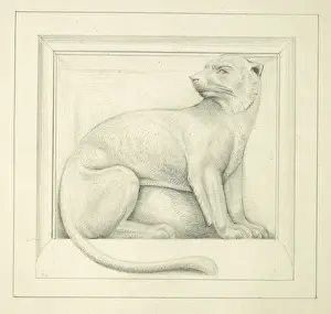 Designs for the Natural History Museum, by Alfred Waterhouse
