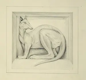 Designs for the Natural History Museum, by Alfred Waterhouse