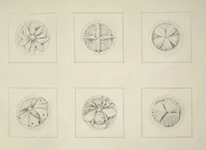 Designs for the Natural History Museum, by Alfred Waterhouse