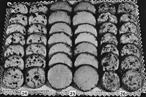 Dessert Macaroons and Tea Breads