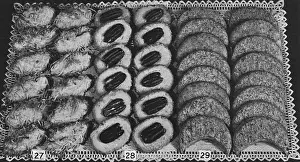 Dessert Macaroons and Tea Breads