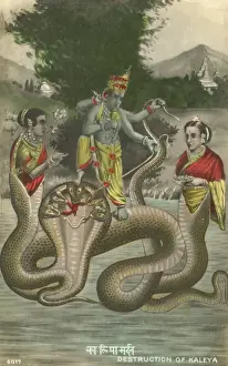 Eaten Prints: Destruction of Kaleya