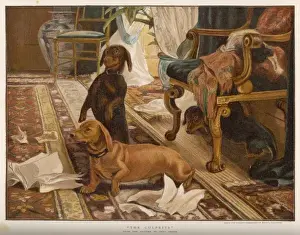 Misbehaving Prints: Destructive Dachsies
