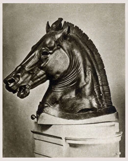 Detached head - Bronze Greek Equestrian sculpture - Florence