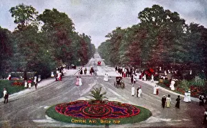 Detroit, Michigan, USA - Belle Isle - Central Avenue