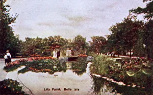 Lily Gallery: Detroit, Michigan, USA - Lily Pond on Belle Isle