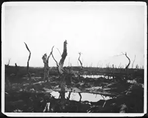 Barren Prints: Devastated Battlefield