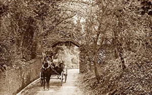Devon country lane
