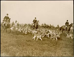 Hounds Collection: Devon Stag Hunt 1940S