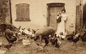 Devonshire Farmers Wife