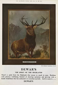 Highlands Collection: Dewars advert - The Monarch of the Glen
