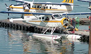 DHC-2 Beaver C-FOCY - 204