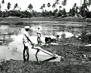 Dhobis washing clothes, India