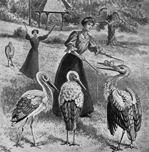 Images Dated 20th October 2017: Diabolo on Hampstead Heath, 1907