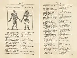 Diagram of Body / 1658