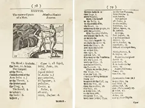 Diagram of Body / 1658