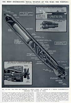 Torpedo Gallery: Diagram of a torpedo by G. H. Davis