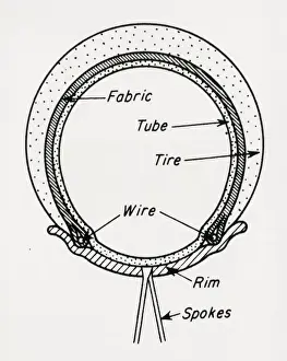 Welch Prints: Diagram of Welch rim bicycle tyre