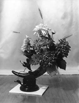 Images Dated 16th June 2011: DIAMOND FLOWERS