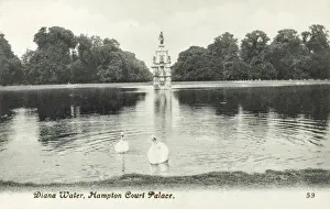 Ripples Prints: Diana Water - Hampton Court Palace