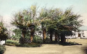 Notorious Prints: Dick Turpins Ring (Cockpit), Hempstead, Essex