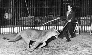 Cage Gallery: Dickie Chipperfield, lion tamer, with lioness