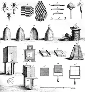 Hives Prints: Diderot Hives