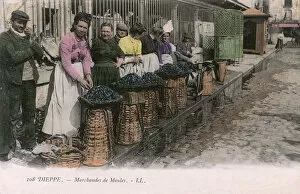 Mollusc Collection: Dieppe, France - Mussel sellers