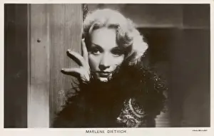 Marlene Prints: Dietrich / Paramount