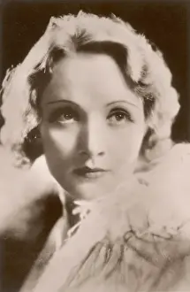 Marlene Prints: Dietrich / Postcard