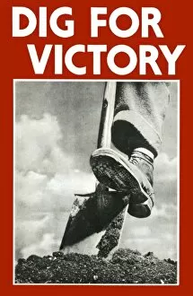 Digging Collection: Dig for Victory poster - WWII