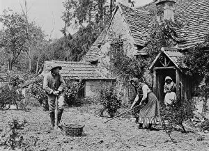 Images Dated 12th March 2018: Digging a vegetable patch, 1890s