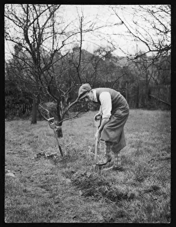 Encouraged Prints: Digging for Victory