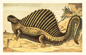 Dimetrodon limbatus with its distinctive neural spine sail on it