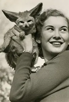 Ears Prints: Dinah Sheridan, 16-year-old film actor, with Fennex fox