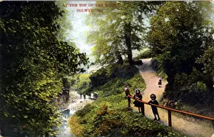 Dingle Prints: The Dingle, Colwyn Bay, Clwyd - Conwy