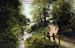 Dingle Prints: Top of the Dingle, Colwyn, Gwynedd