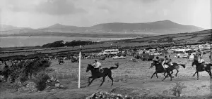 Dingle Prints: Dingle Races