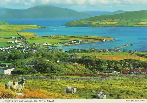 Hinde Prints: Dingle Town & Harbour County Kerry Ireland