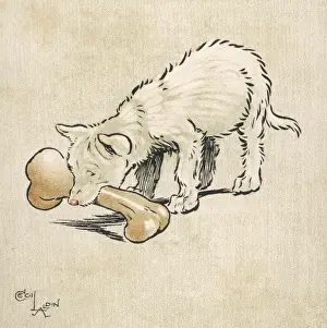 Al Din Prints: Dingo Puppy Aldin