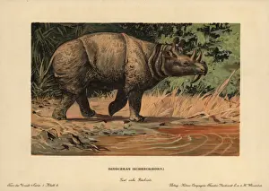 Eocene Prints: Dinoceras, Uintatherium anceps, extinct herbivorous