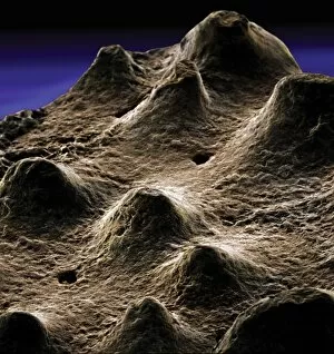 Microscope Image Gallery: Dinosaur eggshell