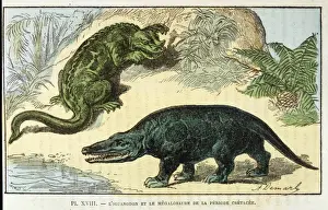 Dinosaur / Iguanodon