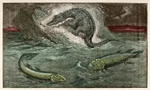 Dinosaur / Protosaurus