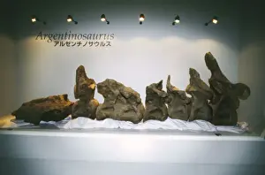 Skeletons Prints: DINOSAUR Skeleton - Argentinosaurus vertibrae