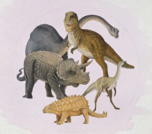 Ankylosaurid Gallery: Dinosaurs